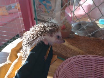 原宿かわいい動物園に投稿された画像（2021/2/23）