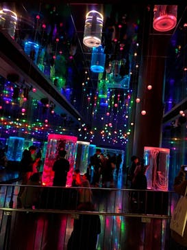 マクセル アクアパーク品川に投稿された画像（2021/2/23）