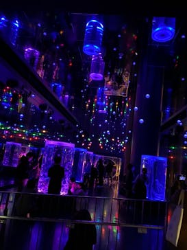 マクセル アクアパーク品川に投稿された画像（2021/2/23）