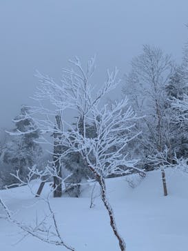 志賀高原マウンテンリゾートに投稿された画像（2021/2/23）