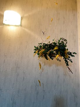 アトリエひわだやに投稿された画像（2021/2/23）