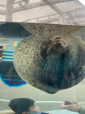 京都水族館に投稿された画像（2021/2/23）