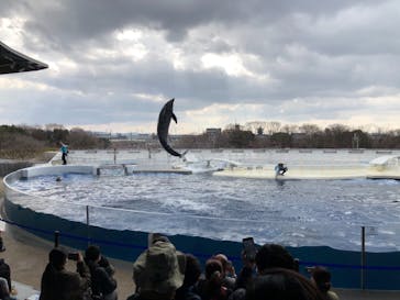 京都水族館に投稿された画像（2021/2/23）