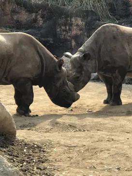 天王寺動物園に投稿された画像（2021/2/23）
