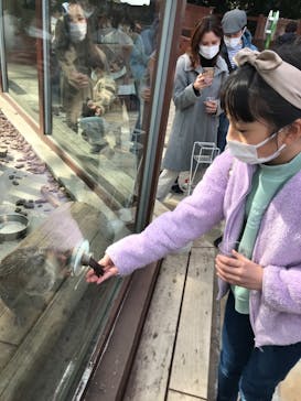 横浜・八景島シーパラダイスに投稿された画像（2021/2/23）