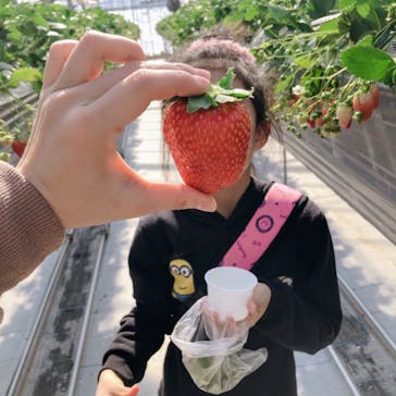 いのさんの観光農園に投稿された画像（2021/2/23）