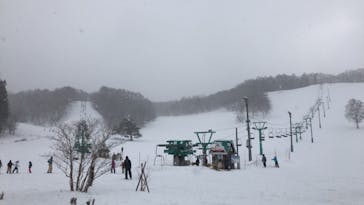 水上高原 藤原スキー場に投稿された画像（2021/2/23）