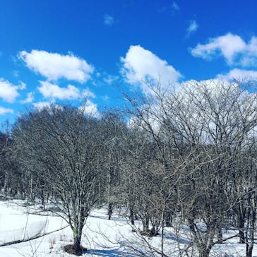 ブランシュたかやまスキーリゾートに投稿された画像（2021/2/23）