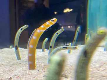 すみだ水族館に投稿された画像（2021/2/23）