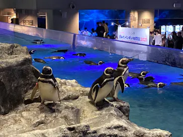 すみだ水族館に投稿された画像（2021/2/23）