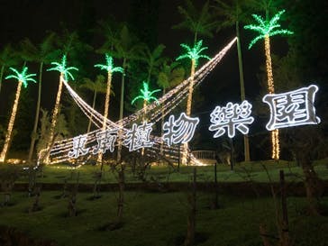 美らヤシパークオキナワ・東南植物楽園に投稿された画像（2021/2/23）