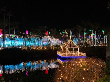 美らヤシパークオキナワ・東南植物楽園に投稿された画像（2021/2/23）