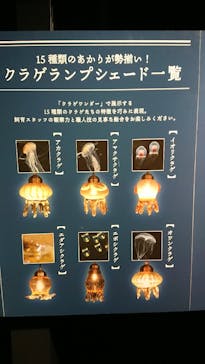 京都水族館に投稿された画像（2021/2/23）
