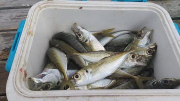 錦フィッシングパークに投稿された画像（2021/2/23）