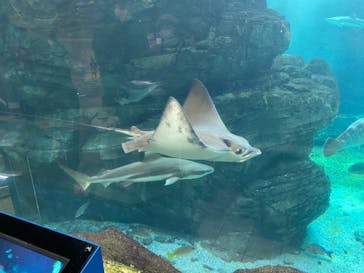 株式会社Gに投稿された画像（2021/2/23）