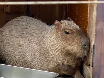 株式会社Gに投稿された画像（2021/2/23）