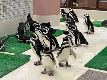 株式会社Gに投稿された画像（2021/2/23）