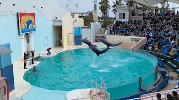 株式会社Gに投稿された画像（2021/2/23）