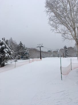 志賀高原焼額山スキー場に投稿された画像（2021/2/23）