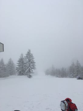 志賀高原焼額山スキー場に投稿された画像（2021/2/23）