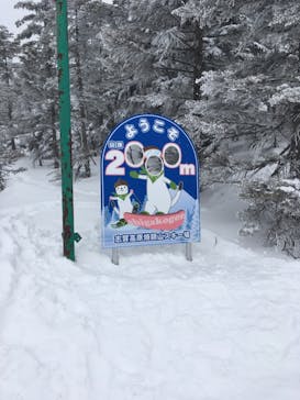 志賀高原焼額山スキー場に投稿された画像（2021/2/23）