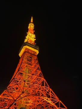 東京タワーに投稿された画像（2021/2/23）