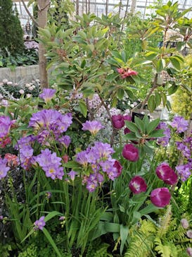 安城産業文化公園デンパークに投稿された画像（2021/2/23）