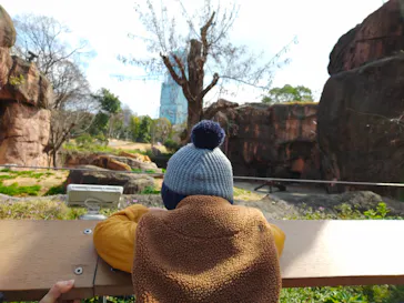 天王寺動物園に投稿された画像（2021/2/23）