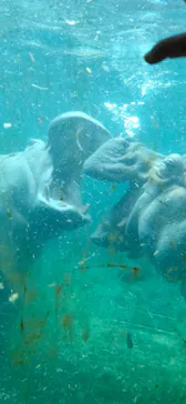 天王寺動物園に投稿された画像（2021/2/23）