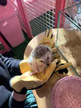 原宿かわいい動物園に投稿された画像（2021/2/24）