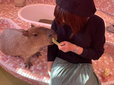 原宿かわいい動物園に投稿された画像（2021/2/23）