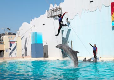 株式会社Gに投稿された画像（2021/2/23）