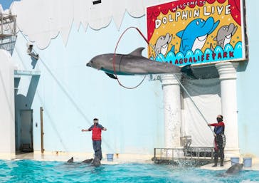 株式会社Gに投稿された画像（2021/2/23）