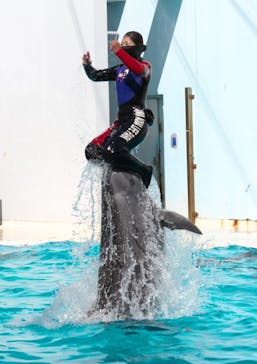 株式会社Gに投稿された画像（2021/2/23）