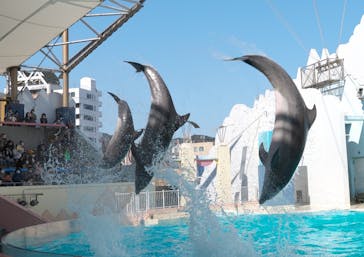 株式会社Gに投稿された画像（2021/2/23）