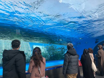 サンシャイン水族館に投稿された画像（2021/2/23）