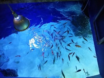 サンシャイン水族館に投稿された画像（2021/2/23）
