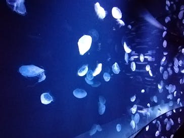 サンシャイン水族館に投稿された画像（2021/2/23）