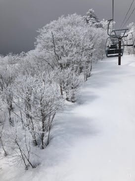いいづなリゾートスキー場に投稿された画像（2021/2/24）
