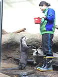 仙台うみの杜水族館に投稿された画像（2021/2/24）