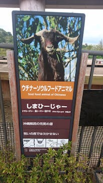 沖縄こどもの国に投稿された画像（2021/2/24）