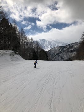 白馬岩岳スノーフィールドに投稿された画像（2021/2/24）