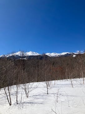 Mt.乗鞍スノーリゾートに投稿された画像（2021/2/24）