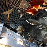 国立科学博物館に投稿された画像（2021/2/24）