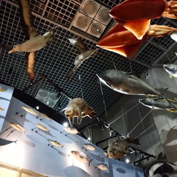 国立科学博物館に投稿された画像（2021/2/24）