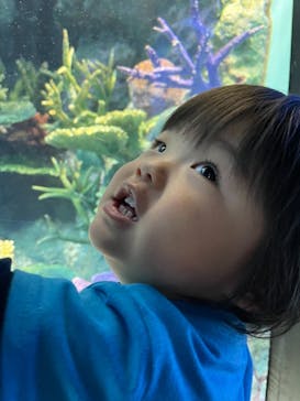 サンシャイン水族館に投稿された画像（2021/2/24）