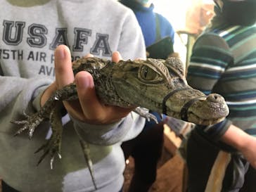 体感型動物園iZooに投稿された画像（2021/2/24）