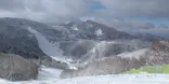 志賀高原中央エリアスキー場に投稿された画像（2021/2/24）