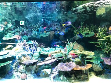 サンシャイン水族館に投稿された画像（2021/2/24）