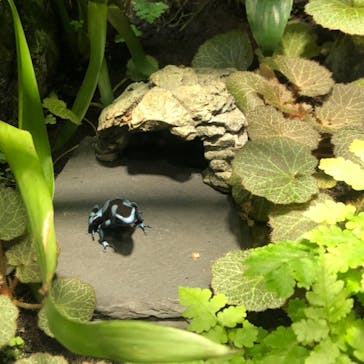 サンシャイン水族館に投稿された画像（2021/2/24）